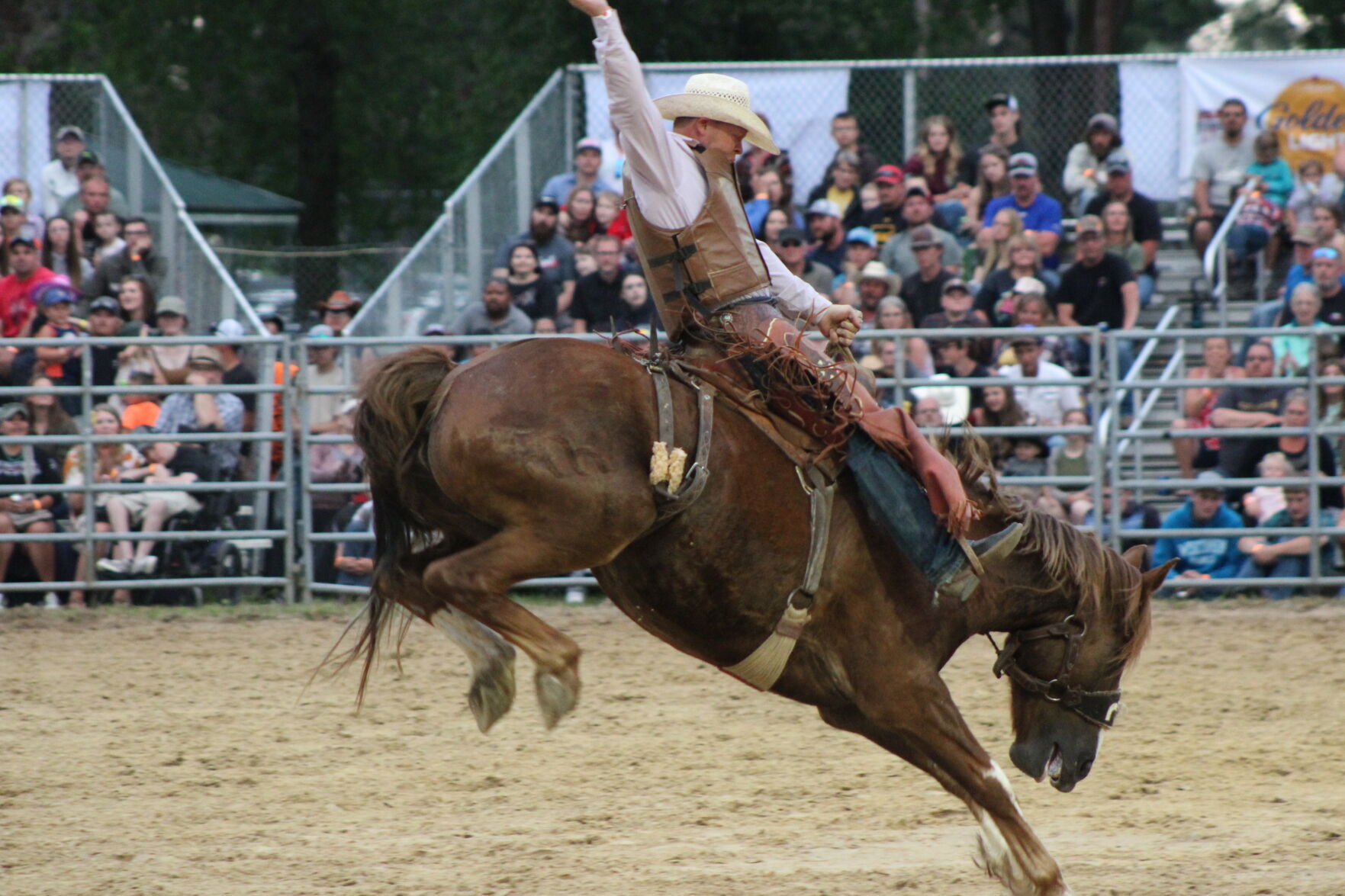 Bronco Riding